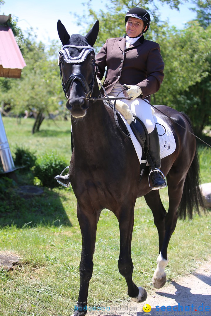 Reitturnier auf dem Ziegelhof in Dettingen-Wallhausen am Bodensee, 22.06.20