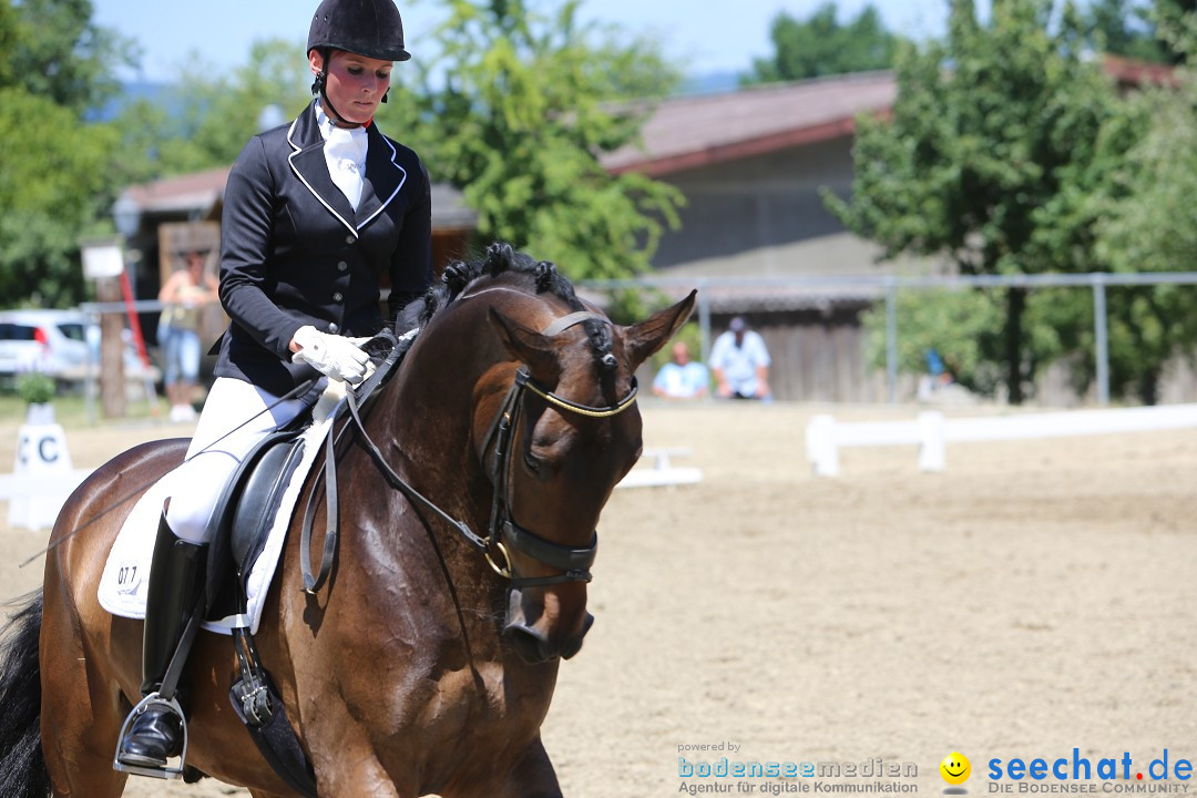 Reitturnier auf dem Ziegelhof in Dettingen-Wallhausen am Bodensee, 22.06.20