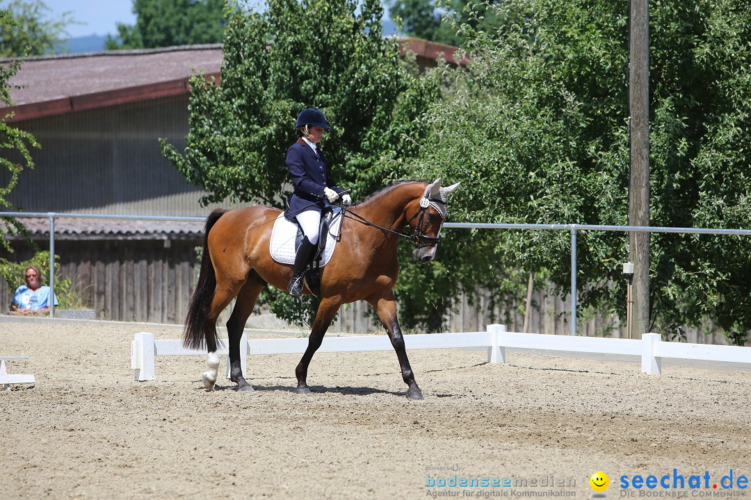 Reitturnier auf dem Ziegelhof in Dettingen-Wallhausen am Bodensee, 22.06.20