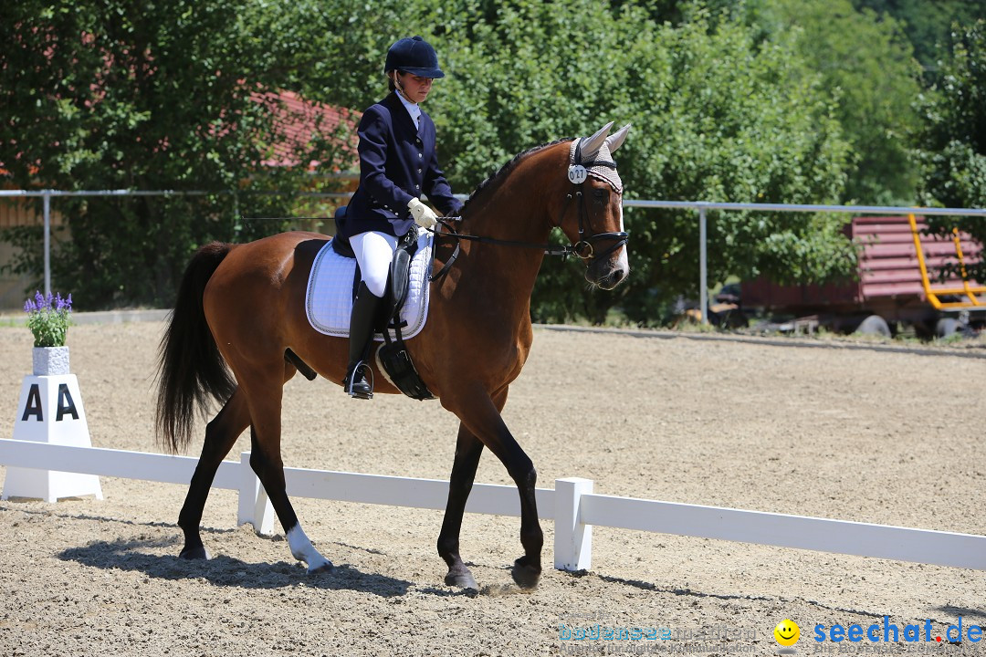 Reitturnier auf dem Ziegelhof in Dettingen-Wallhausen am Bodensee, 22.06.20