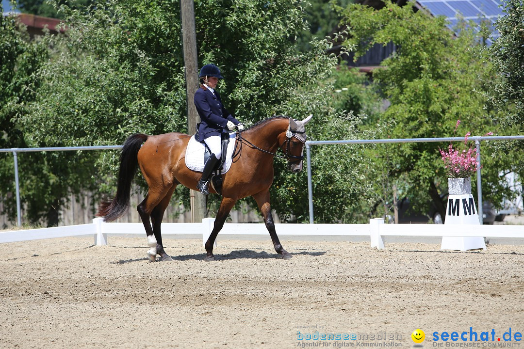 Reitturnier auf dem Ziegelhof in Dettingen-Wallhausen am Bodensee, 22.06.20