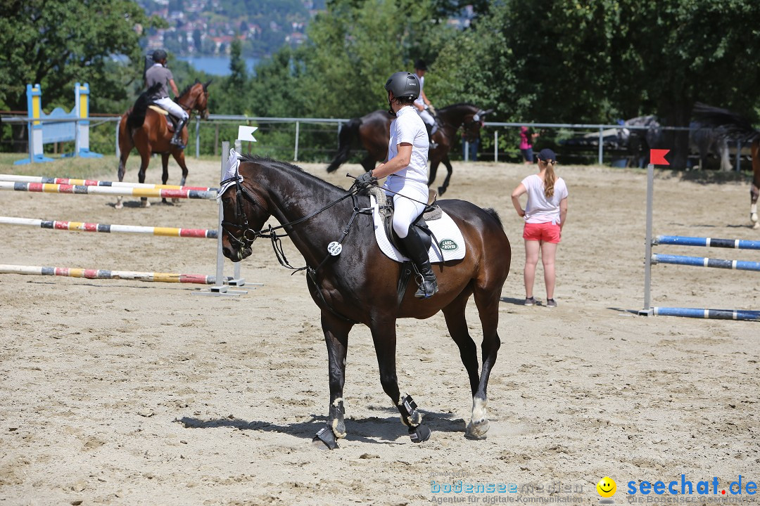 Reitturnier auf dem Ziegelhof in Dettingen-Wallhausen am Bodensee, 22.06.20