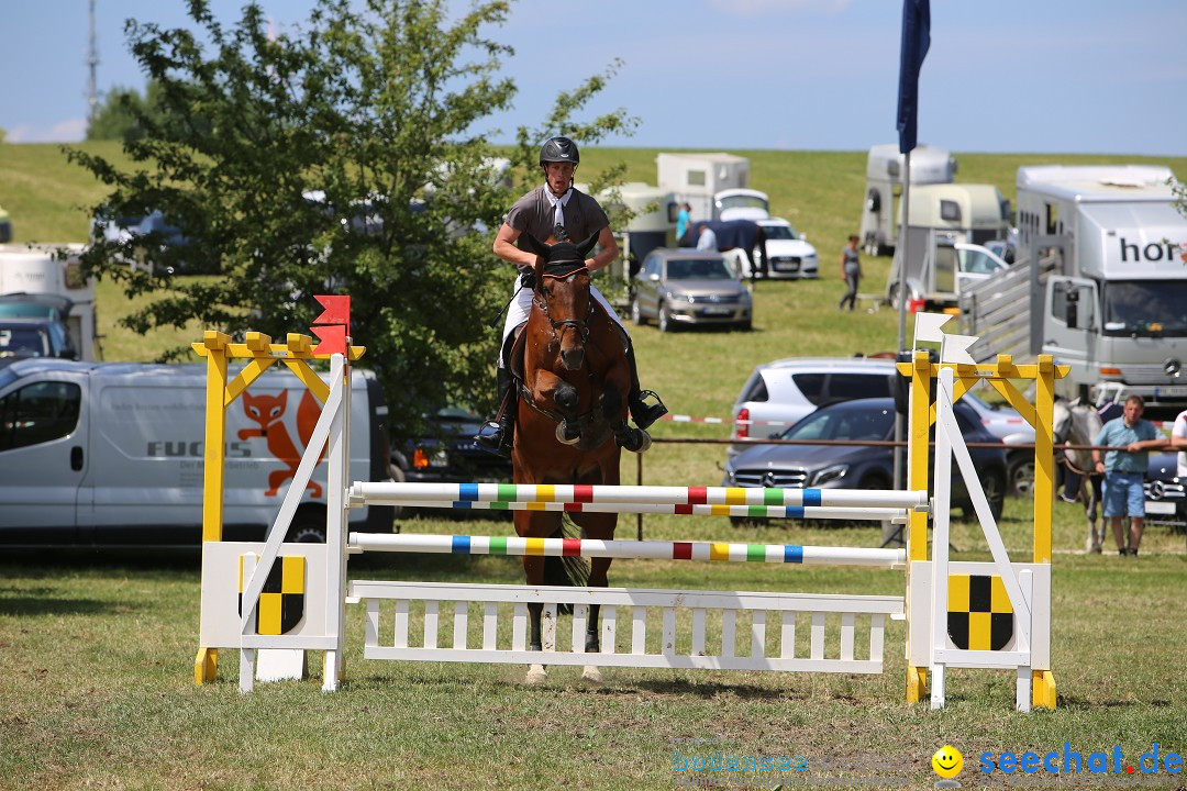 Reitturnier auf dem Ziegelhof in Dettingen-Wallhausen am Bodensee, 22.06.20