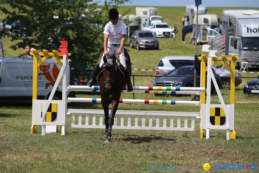 Reitturnier auf dem Ziegelhof in Dettingen-Wallhausen am Bodensee, 22.06.20