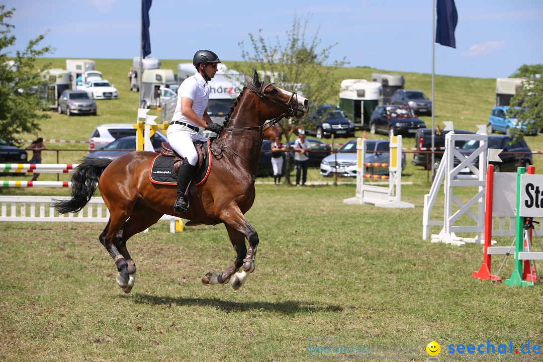 Reitturnier auf dem Ziegelhof in Dettingen-Wallhausen am Bodensee, 22.06.20