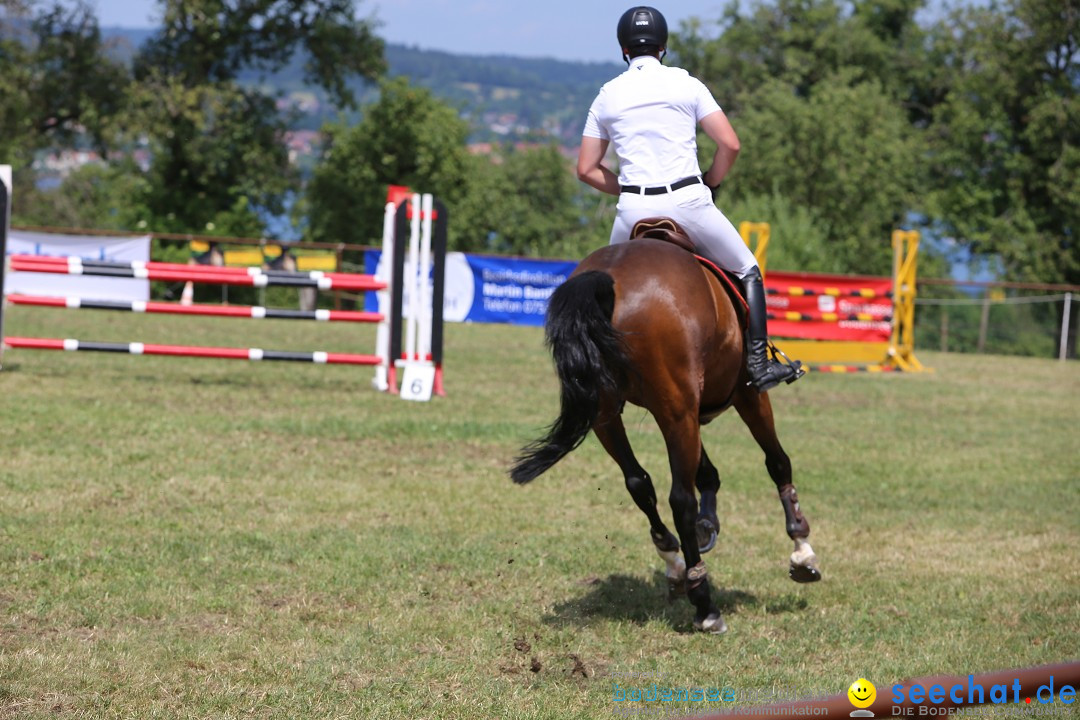 Reitturnier auf dem Ziegelhof in Dettingen-Wallhausen am Bodensee, 22.06.20