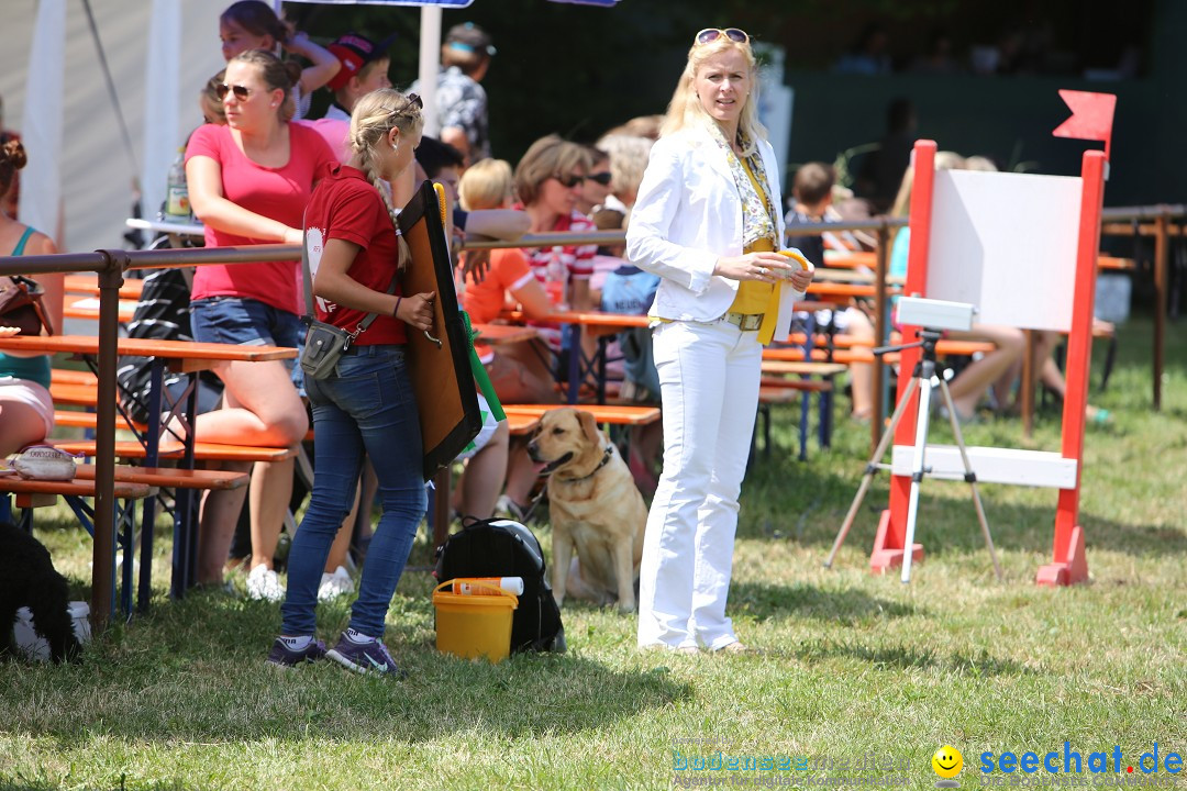 Reitturnier auf dem Ziegelhof in Dettingen-Wallhausen am Bodensee, 22.06.20