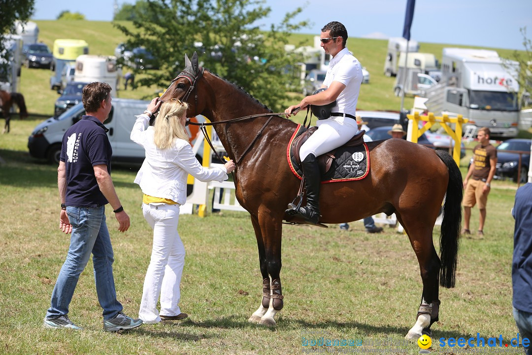 Reitturnier auf dem Ziegelhof in Dettingen-Wallhausen am Bodensee, 22.06.20