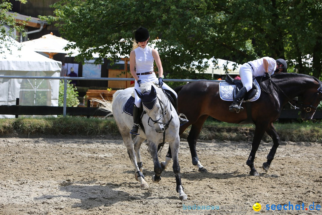 Reitturnier auf dem Ziegelhof in Dettingen-Wallhausen am Bodensee, 22.06.20