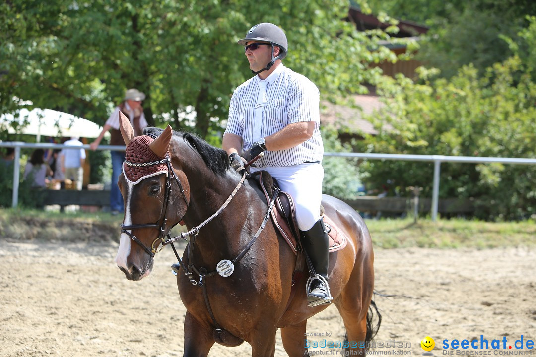 Reitturnier auf dem Ziegelhof in Dettingen-Wallhausen am Bodensee, 22.06.20