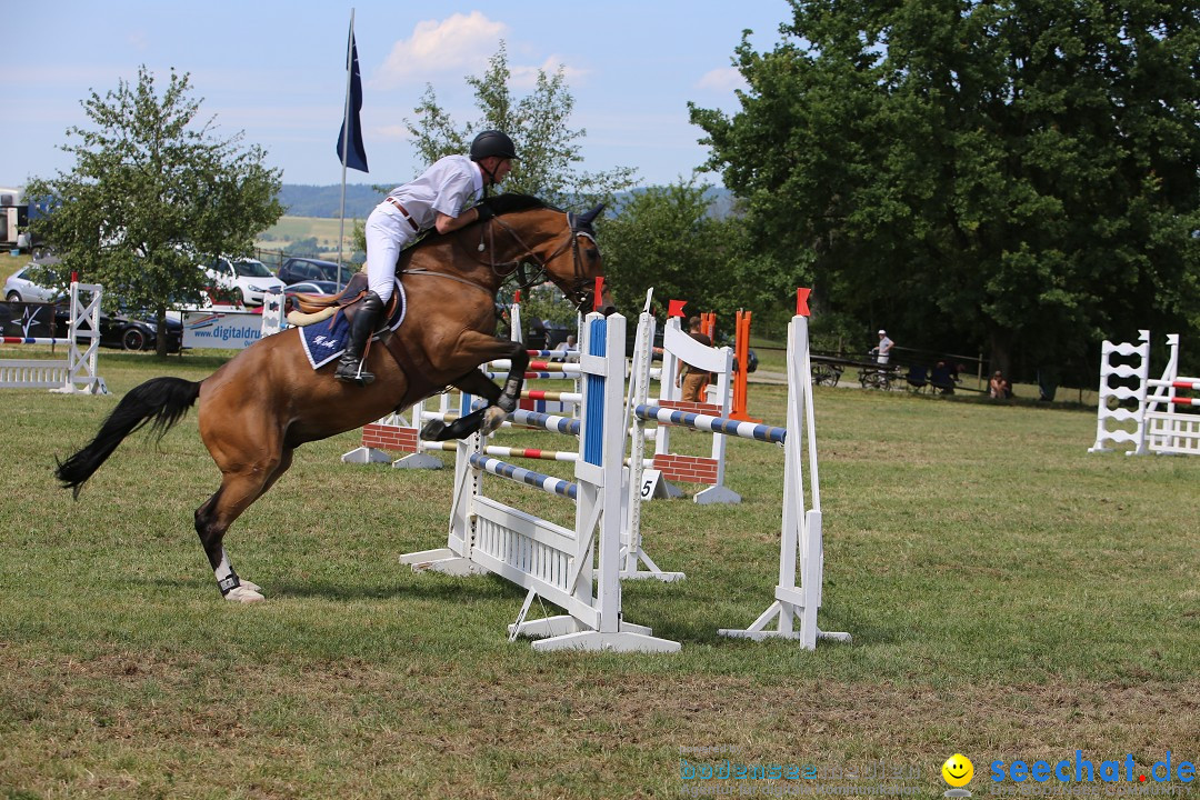 Reitturnier auf dem Ziegelhof in Dettingen-Wallhausen am Bodensee, 22.06.20