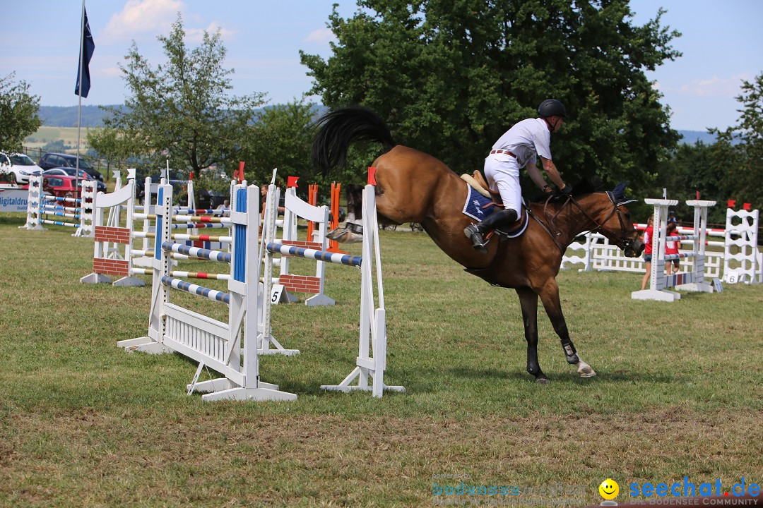 Reitturnier auf dem Ziegelhof in Dettingen-Wallhausen am Bodensee, 22.06.20