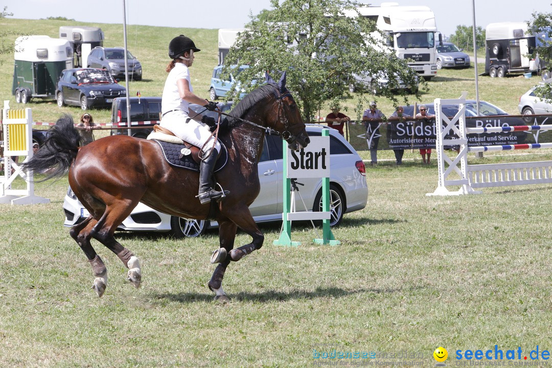 Reitturnier auf dem Ziegelhof in Dettingen-Wallhausen am Bodensee, 22.06.20