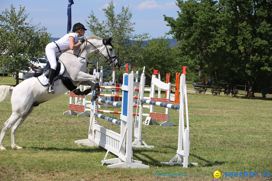 Reitturnier auf dem Ziegelhof in Dettingen-Wallhausen am Bodensee, 22.06.20
