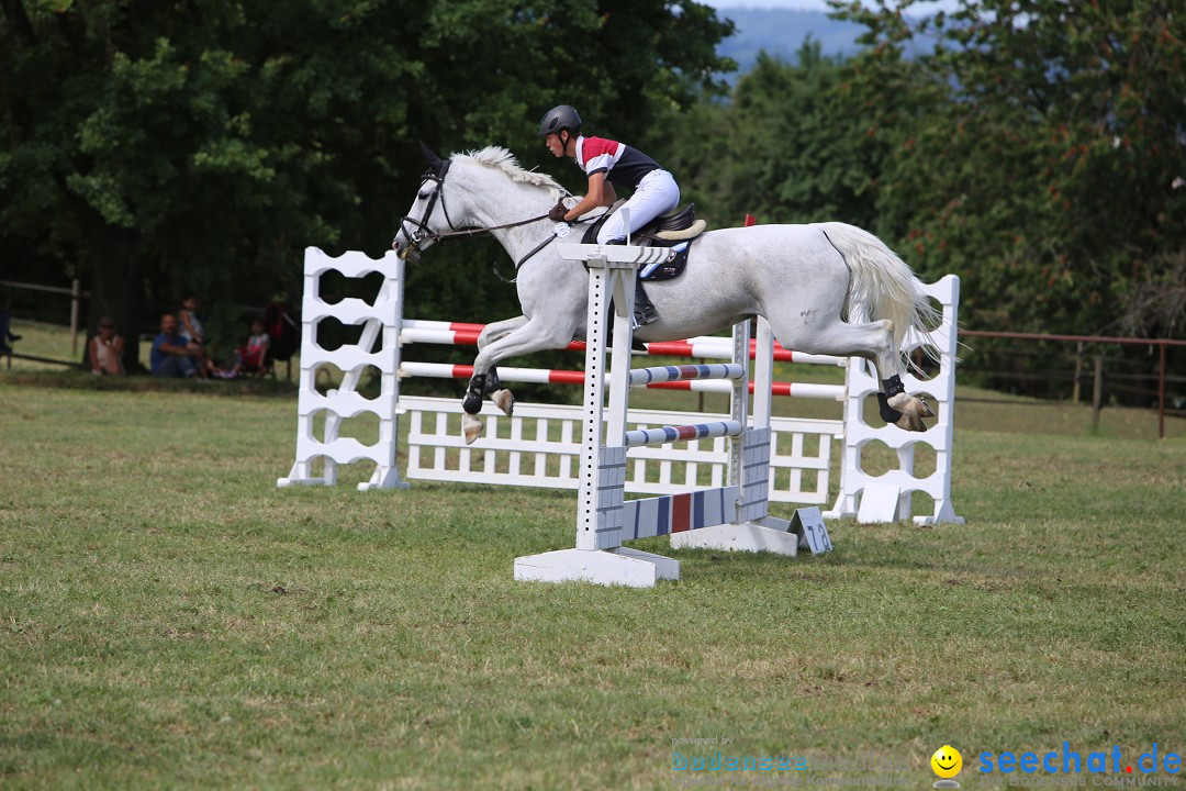Reitturnier auf dem Ziegelhof in Dettingen-Wallhausen am Bodensee, 22.06.20