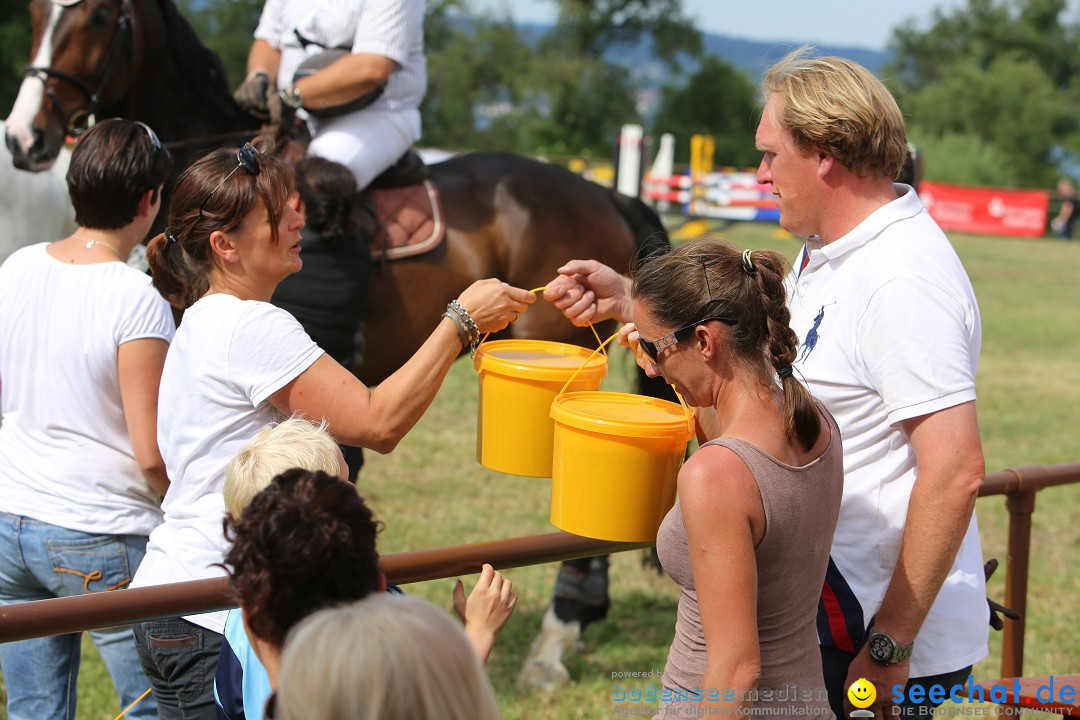 Reitturnier auf dem Ziegelhof in Dettingen-Wallhausen am Bodensee, 22.06.20