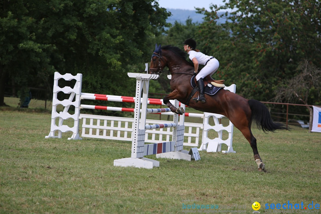 Reitturnier auf dem Ziegelhof in Dettingen-Wallhausen am Bodensee, 22.06.20