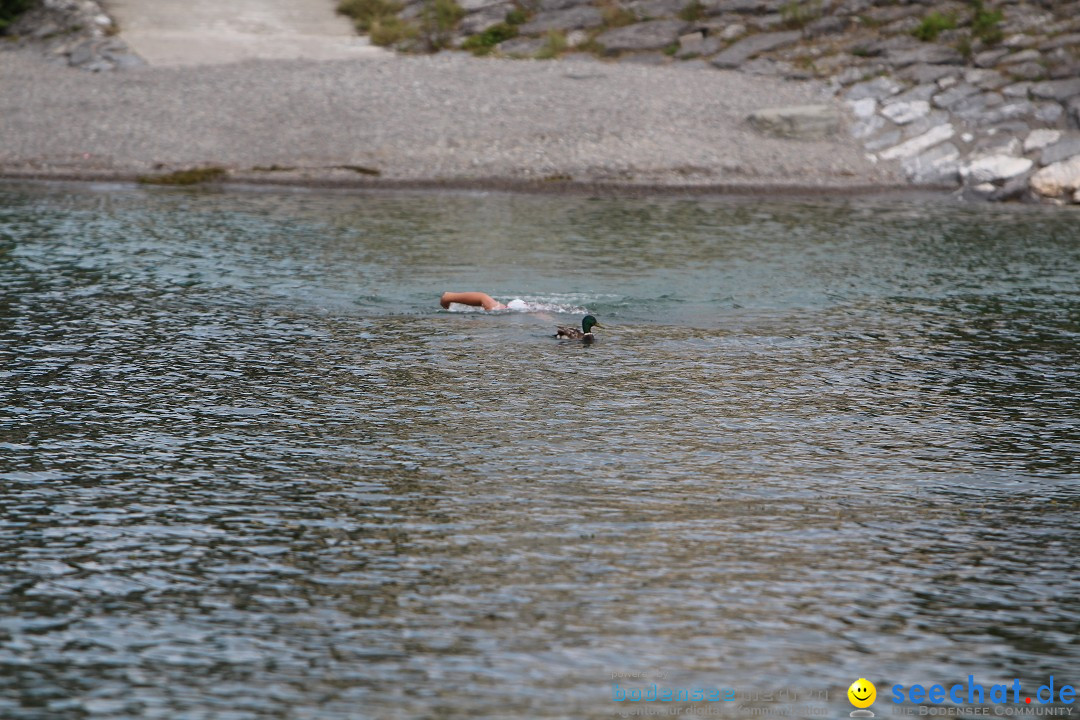 Bodenseequerung: Nathalie Pohl: Friedrichshafen - Romanshorn, 25.06.2014