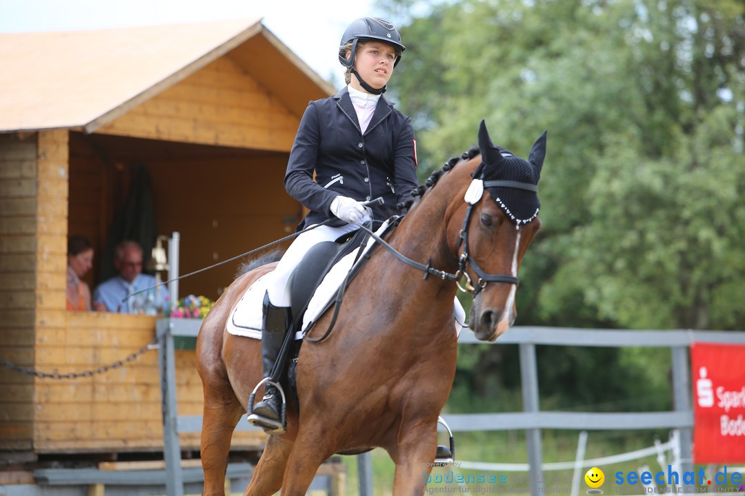 Reitturnier-Ueberlingen-28-06-2014-Bodensee-Community-SEECHAT_DE-IMG_5301.JPG