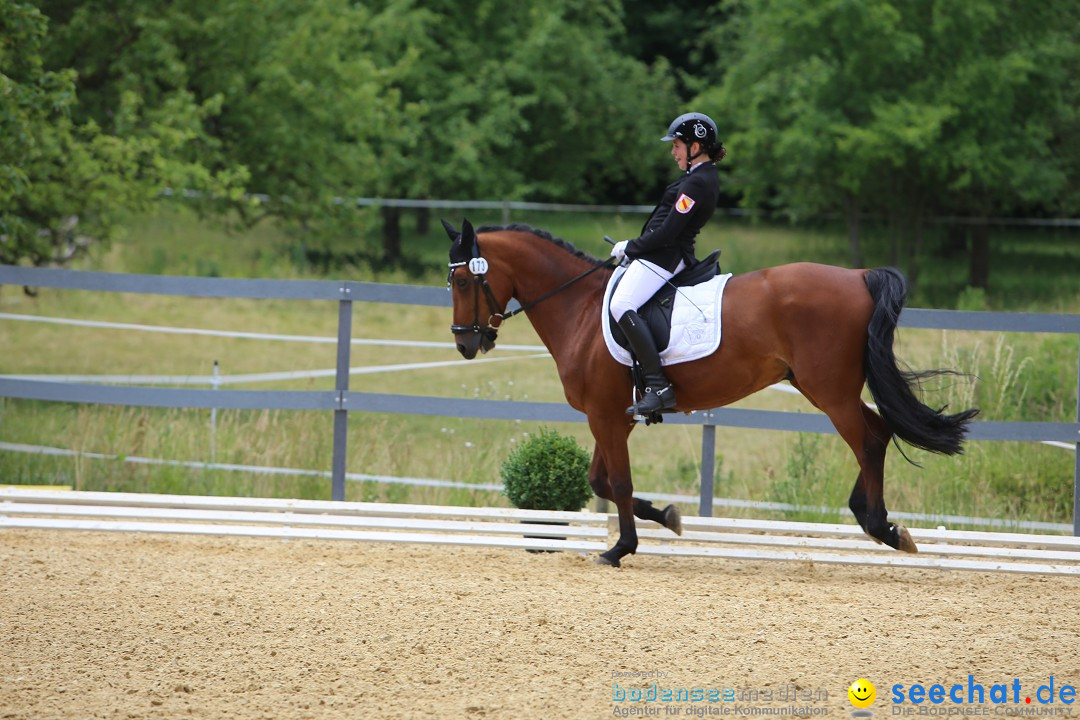 Reitturnier-Ueberlingen-28-06-2014-Bodensee-Community-SEECHAT_DE-IMG_5342.JPG