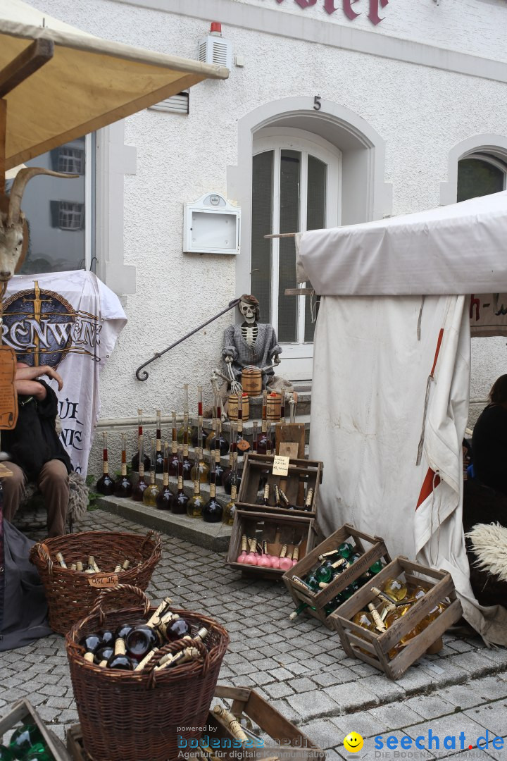 Mittelalterfest: Waldburg bei Ravensburg am Bodensee, 28.06.2014