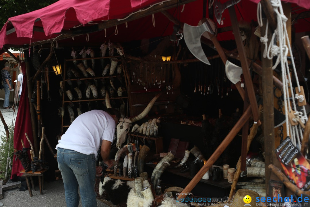 Mittelalterfest: Waldburg bei Ravensburg am Bodensee, 28.06.2014