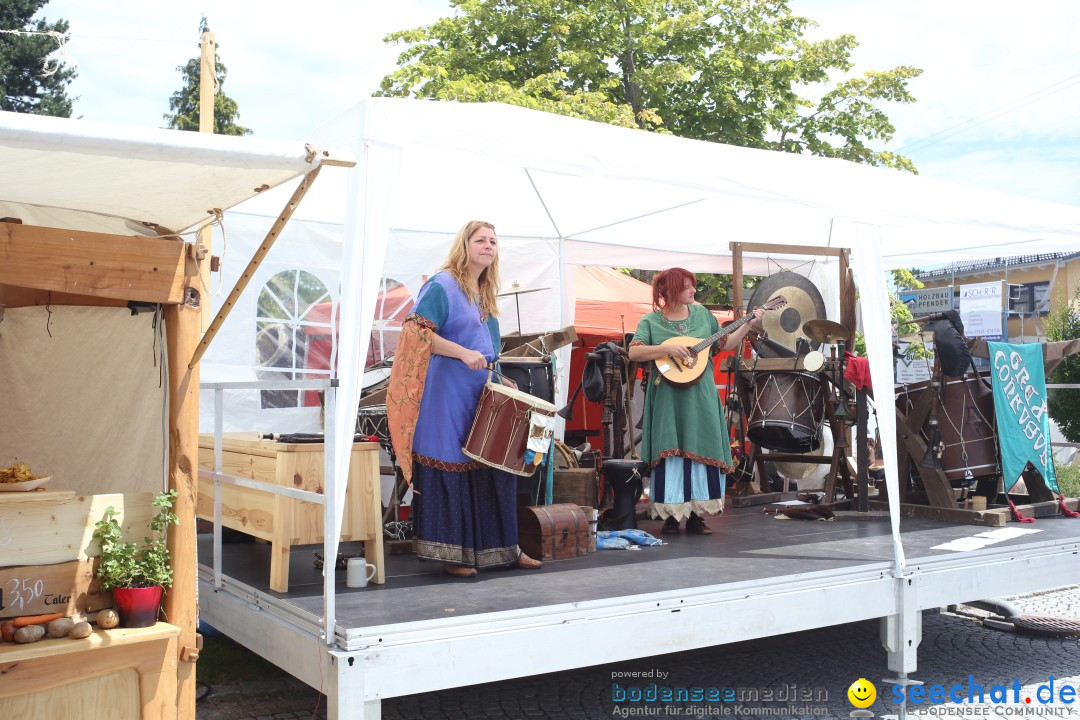 Mittelalterfest: Waldburg bei Ravensburg am Bodensee, 28.06.2014