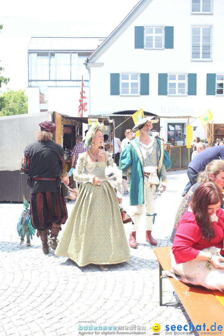 Mittelalterfest: Waldburg bei Ravensburg am Bodensee, 28.06.2014