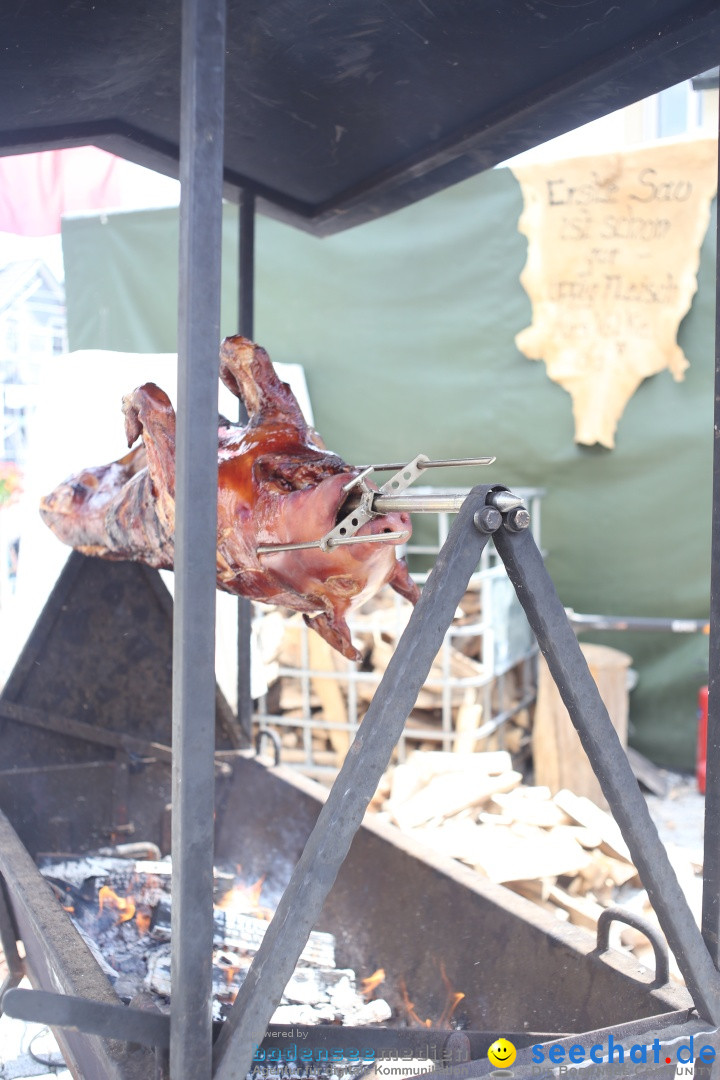 Mittelalterfest: Waldburg bei Ravensburg am Bodensee, 28.06.2014