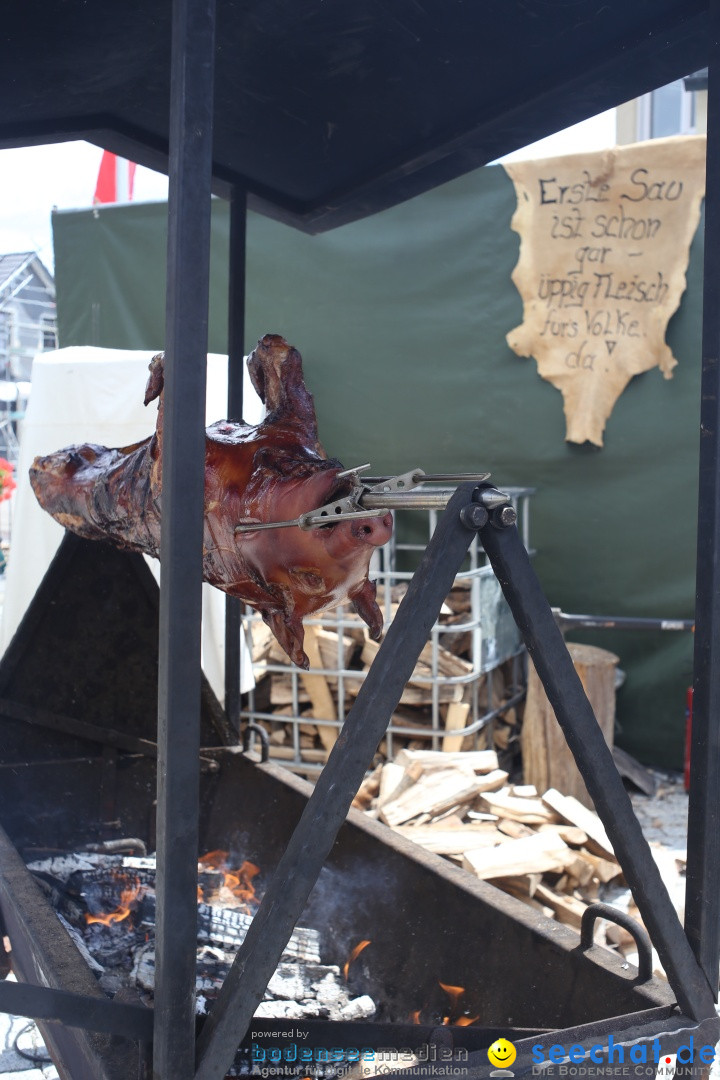 Mittelalterfest: Waldburg bei Ravensburg am Bodensee, 28.06.2014