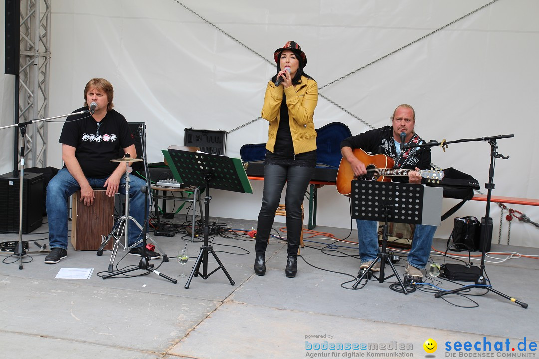 Stadtfest: Singen am Hohentwiel im Hegau - Bodensee, 29.06.2014