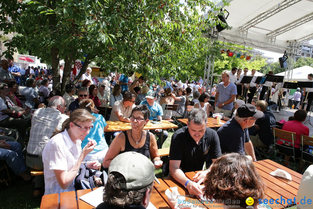 Internationales Donaufest: Ulm an der Donau, 06.07.2014