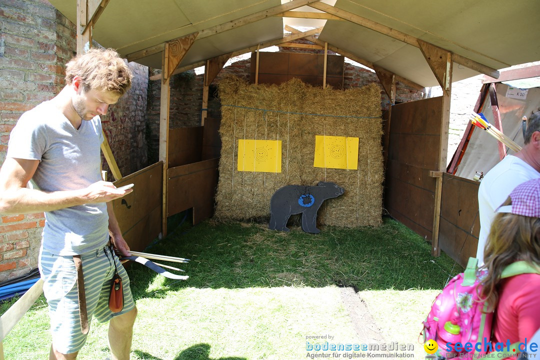 Internationales Donaufest: Ulm an der Donau, 06.07.2014