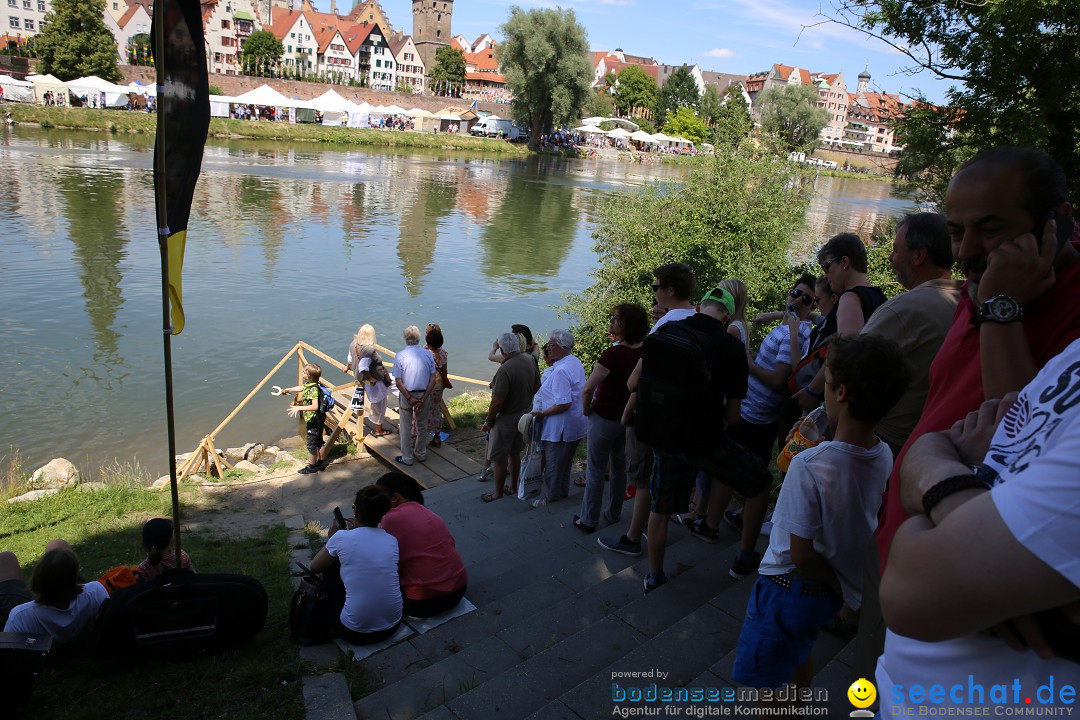 Internationales Donaufest: Ulm an der Donau, 06.07.2014