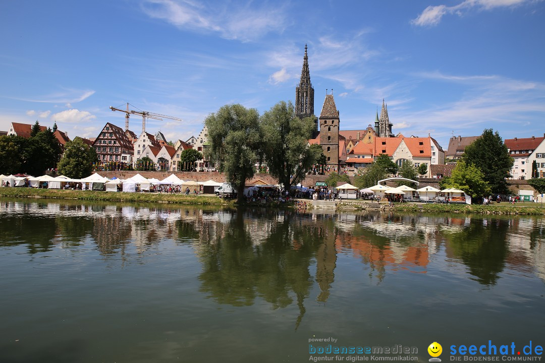 Internationales Donaufest: Ulm an der Donau, 06.07.2014
