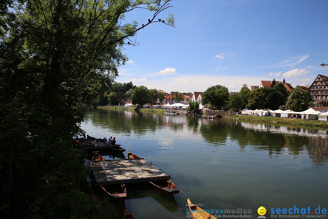 Internationales Donaufest: Ulm an der Donau, 06.07.2014