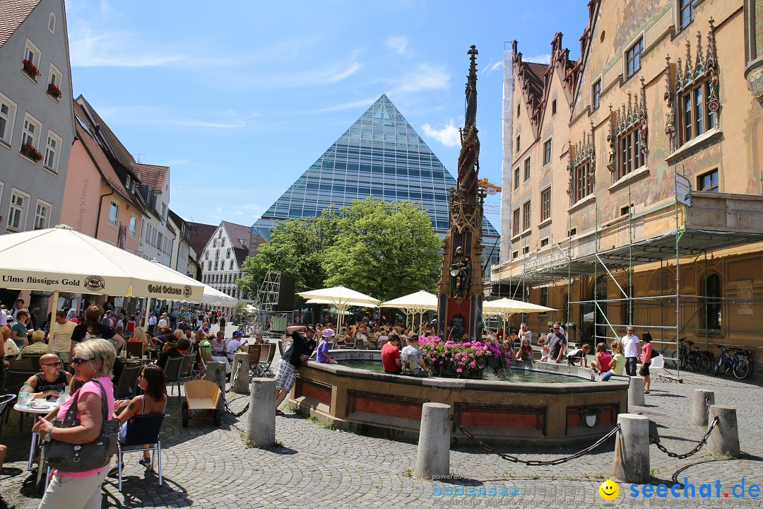 Internationales Donaufest: Ulm an der Donau, 06.07.2014