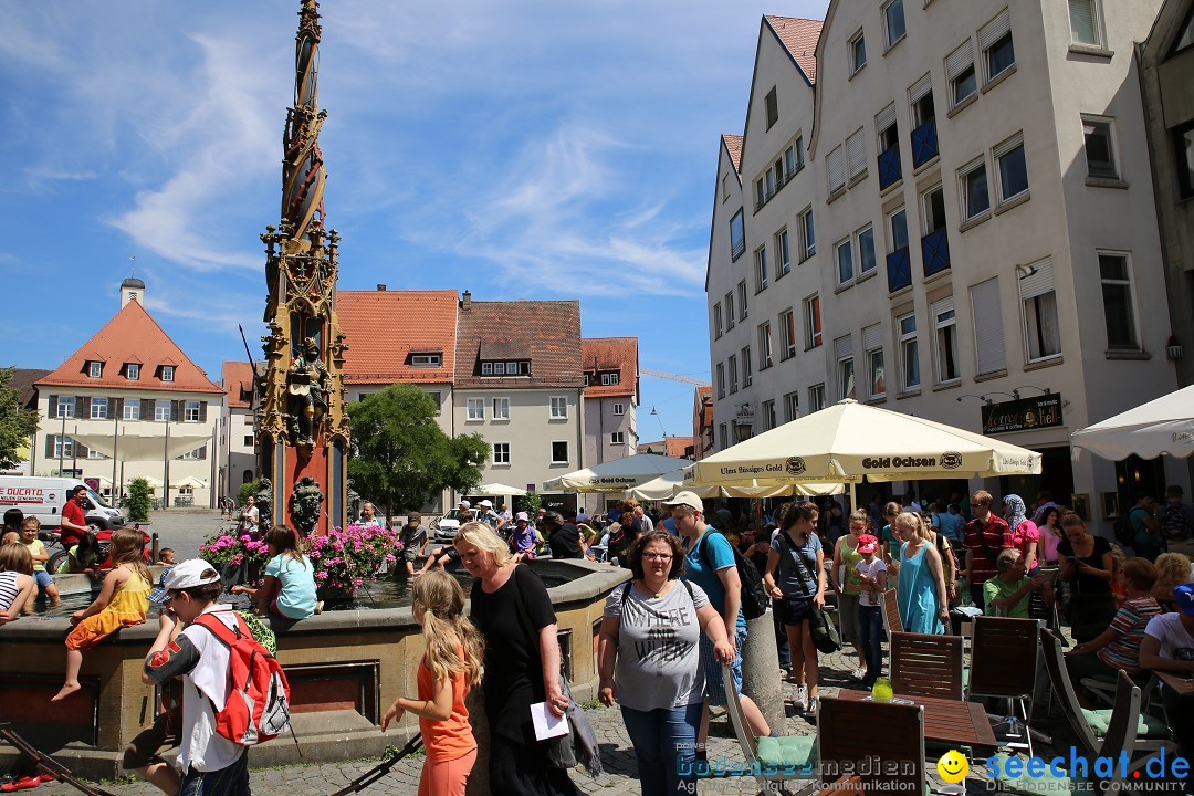 Internationales Donaufest: Ulm an der Donau, 06.07.2014