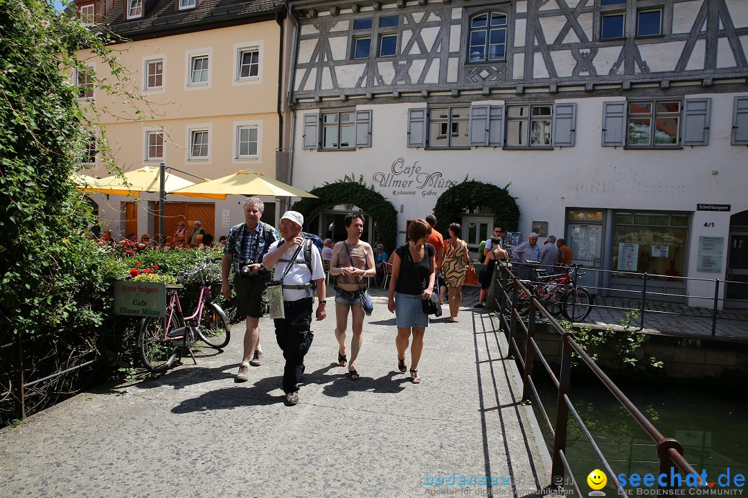 Internationales Donaufest: Ulm an der Donau, 06.07.2014