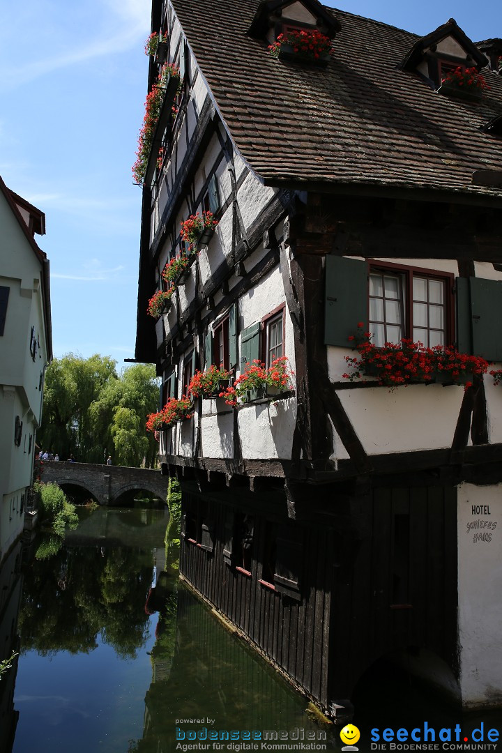 Internationales Donaufest: Ulm an der Donau, 06.07.2014