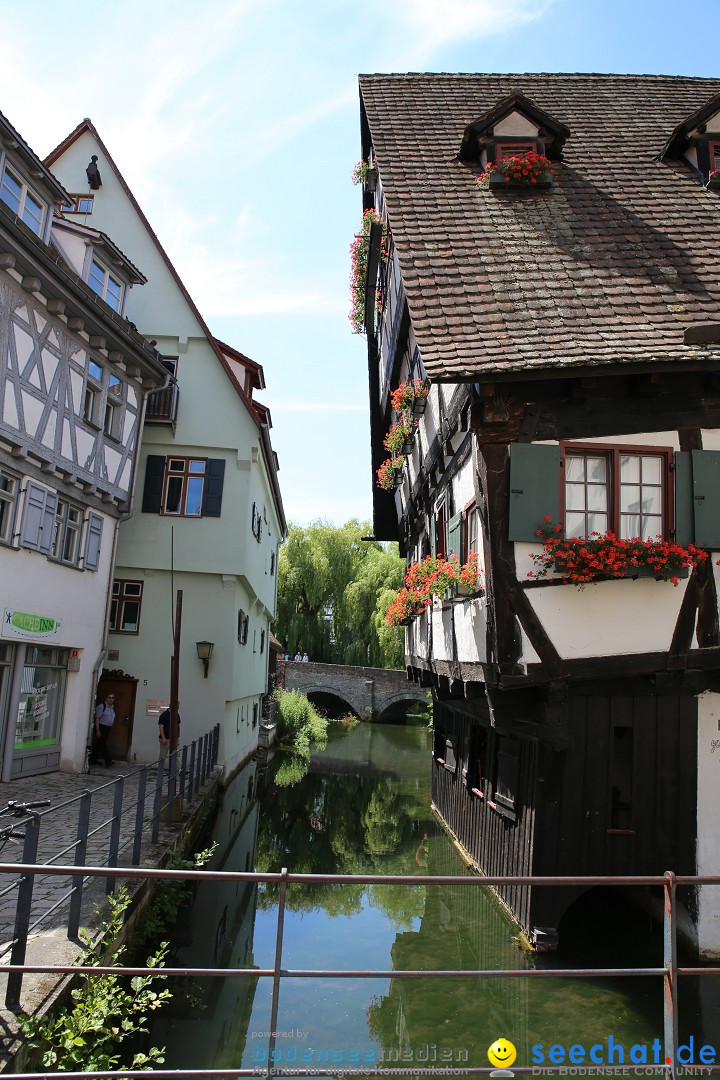 Internationales Donaufest: Ulm an der Donau, 06.07.2014