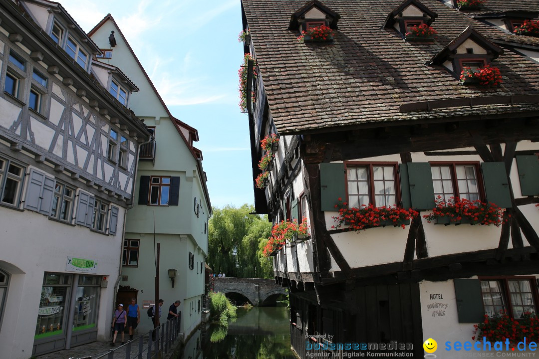 Internationales Donaufest: Ulm an der Donau, 06.07.2014