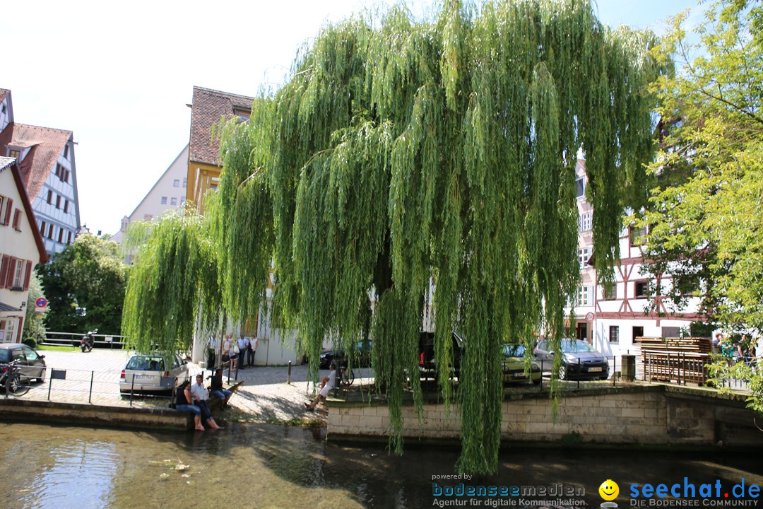 Internationales Donaufest: Ulm an der Donau, 06.07.2014
