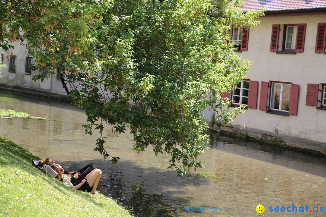Internationales Donaufest: Ulm an der Donau, 06.07.2014