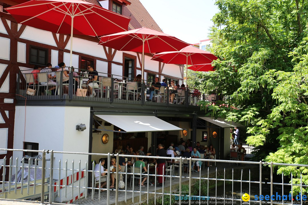 Internationales Donaufest: Ulm an der Donau, 06.07.2014