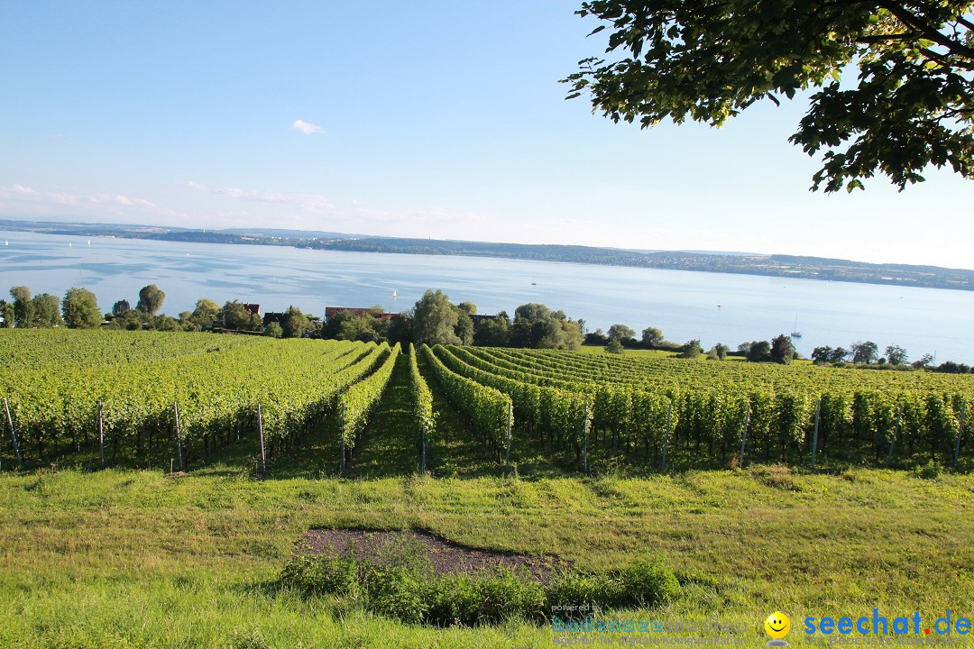 Wigald Boning durchquert den Bodensee: Friedrichshafen, 16.07.2014