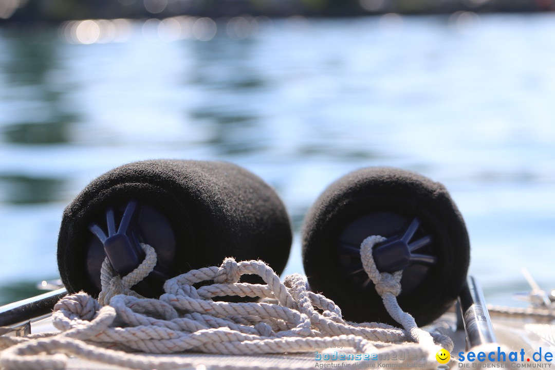 Wigald Boning durchquert den Bodensee: Friedrichshafen, 16.07.2014