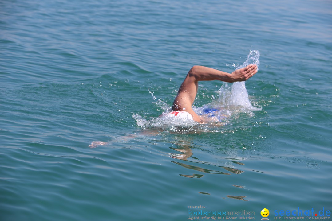 Bodenseequerung: Meik Kottwitz: Friedrichshafen am Bodensee, 17.07.2014