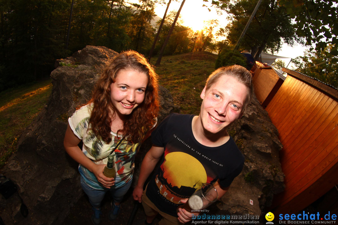 Honberg-Sommer - Revolverheld: Tuttlingen am Bodensee, 17.07.2014