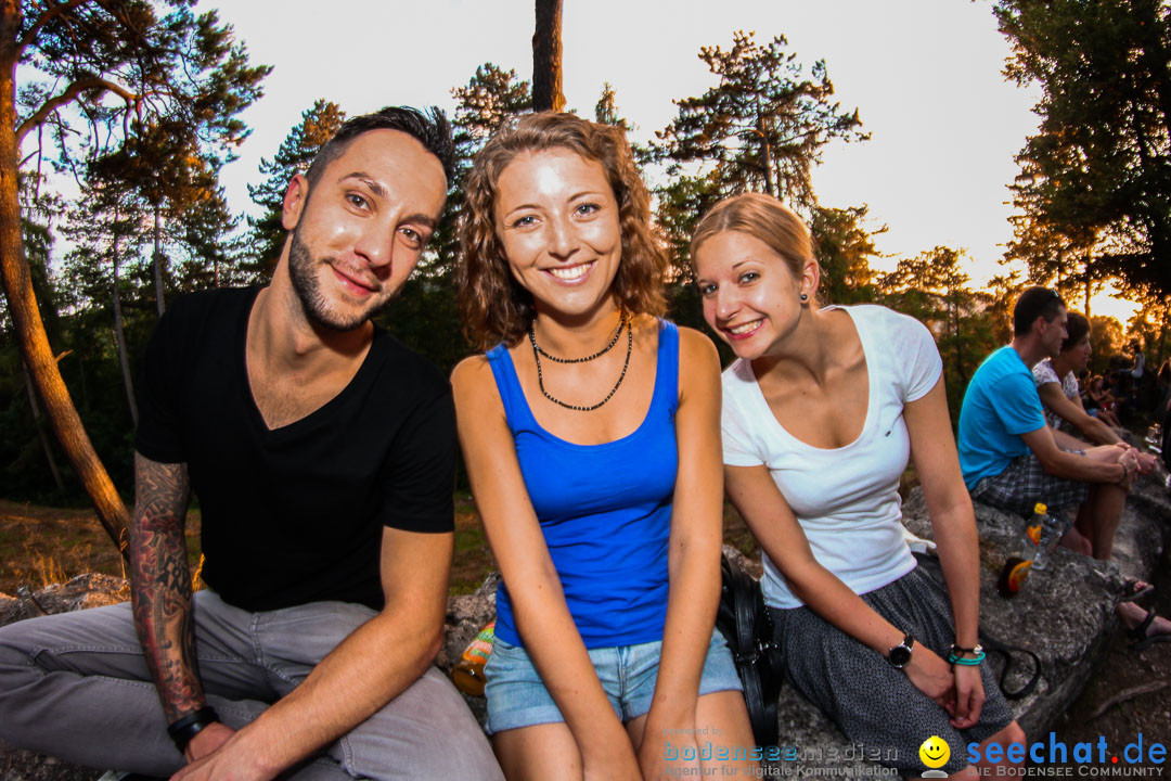 Honberg-Sommer - Revolverheld: Tuttlingen am Bodensee, 17.07.2014